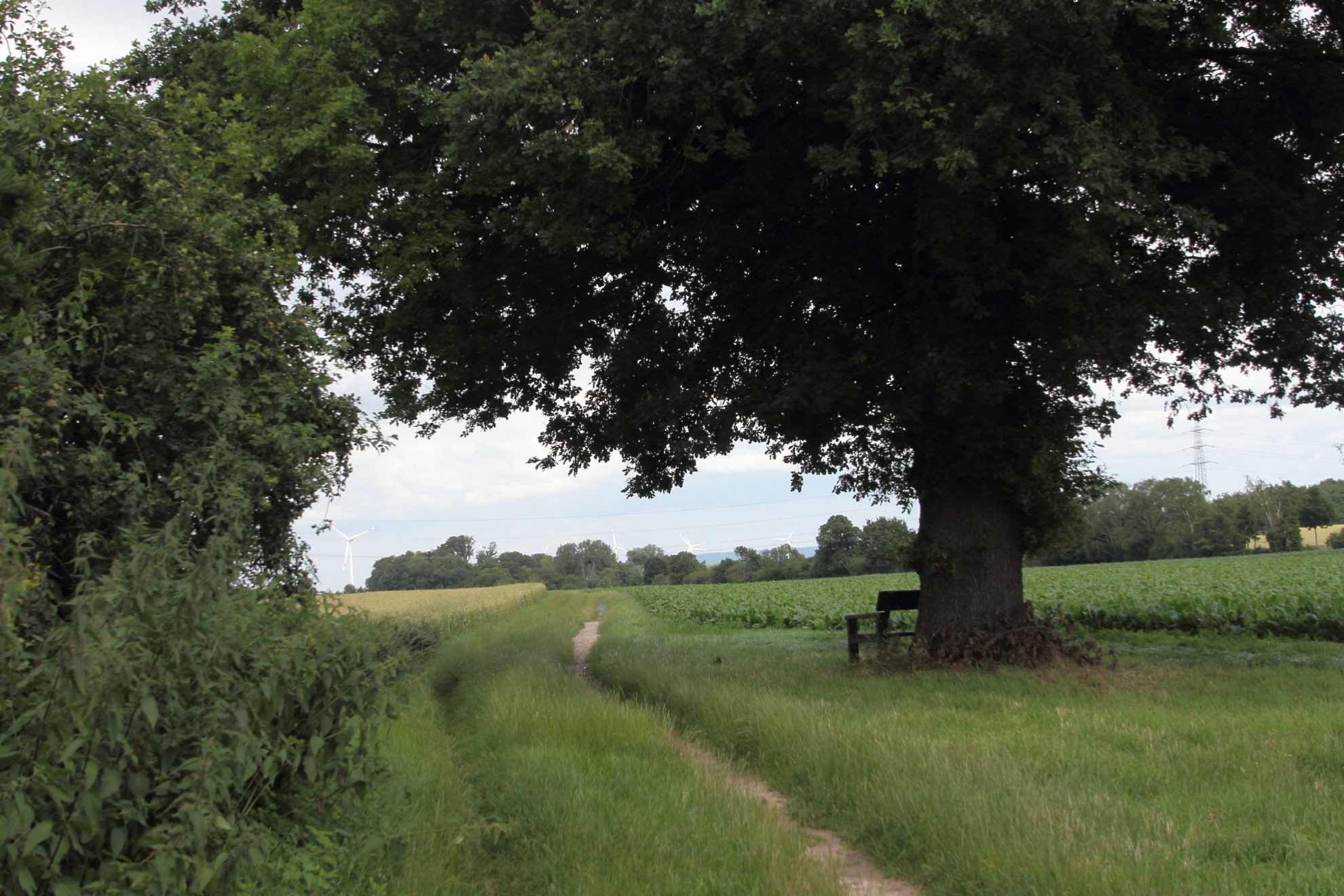 Radweg St. Jöris Kinzweiler